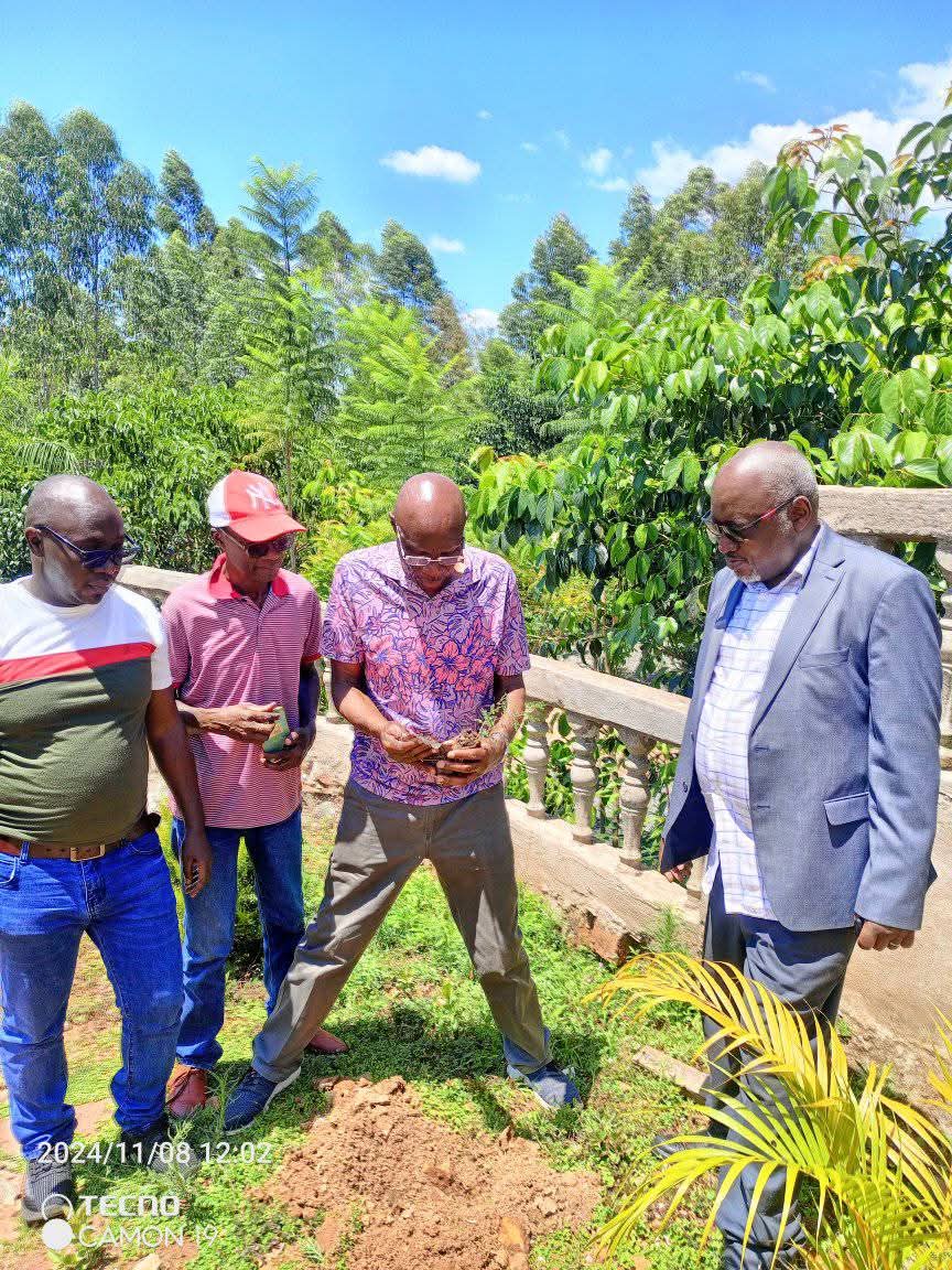 Water quality testing