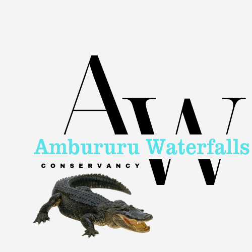 Ambururu Waterfalls Logo